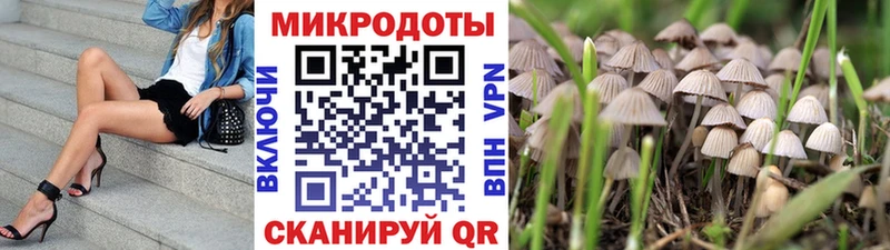 KRAKEN tor  Катайск  Галлюциногенные грибы мицелий 